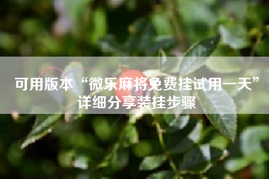 可用版本“微乐麻将免费挂试用一天	”详细分享装挂步骤