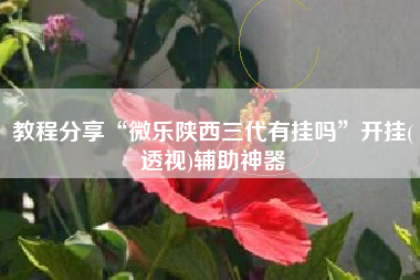 教程分享“微乐陕西三代有挂吗	”开挂(透视)辅助神器