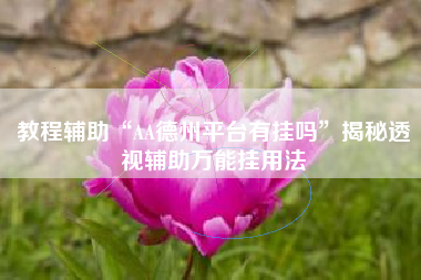教程辅助“AA德州平台有挂吗”揭秘透视辅助万能挂用法