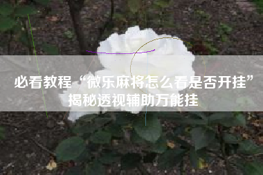 必看教程“微乐麻将怎么看是否开挂	”揭秘透视辅助万能挂