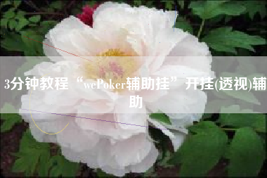 3分钟教程“wePoker辅助挂”开挂(透视)辅助