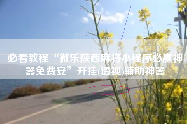 必看教程“微乐陕西麻将小程序必赢神器免费安”开挂(透视)辅助神器