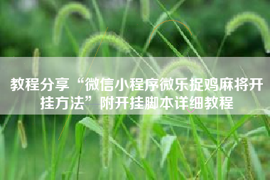 教程分享“微信小程序微乐捉鸡麻将开挂方法”附开挂脚本详细教程