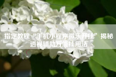 指定教程“手机小程序微乐开挂”揭秘透视辅助万能挂用法