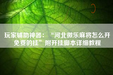 玩家辅助神器：“河北微乐麻将怎么开免费的挂	”附开挂脚本详细教程