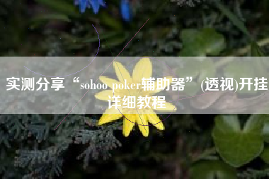 实测分享“sohoo poker辅助器”(透视)开挂详细教程