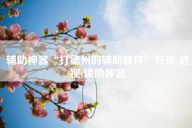 辅助神器“打德州的辅助软件”开挂(透视)辅助神器