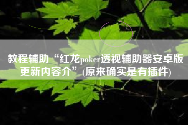 教程辅助“红龙poker透视辅助器安卓版更新内容介	”(原来确实是有插件)