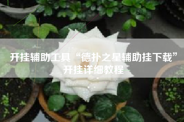 开挂辅助工具“德扑之星辅助挂下载”开挂详细教程