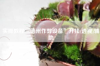 实操教程“德州作弊设备”开挂(透视)辅助