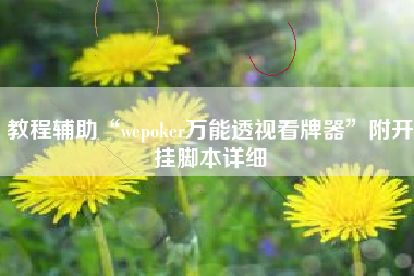 教程辅助“wepoker万能透视看牌器”附开挂脚本详细