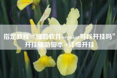 指定教程“辅助软件wepoker可以开挂吗	”开挂辅助脚本+详细开挂