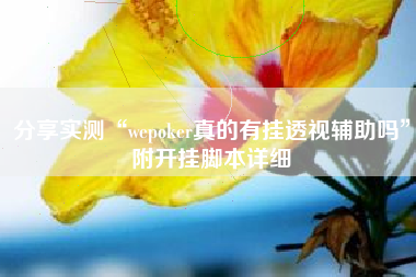 分享实测“wepoker真的有挂透视辅助吗”附开挂脚本详细