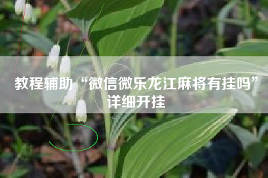 教程辅助“微信微乐龙江麻将有挂吗”详细开挂