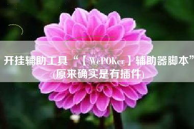 开挂辅助工具“【WePOKer】辅助器脚本	”(原来确实是有插件)