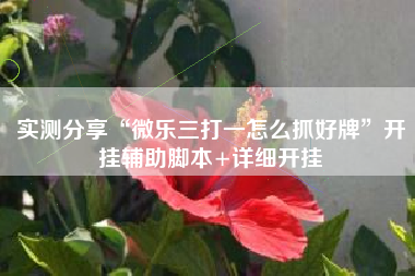实测分享“微乐三打一怎么抓好牌”开挂辅助脚本+详细开挂