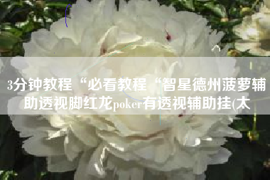 3分钟教程“必看教程“智星德州菠萝辅助透视脚红龙poker有透视辅助挂(太