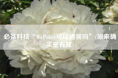 必备科技“WePoker可以透视吗”(原来确实是有挂)