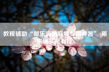 教程辅助“微乐海南麻将专用神器”(原来确实是有挂)