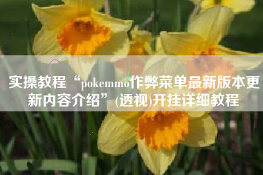 实操教程“pokemmo作弊菜单最新版本更新内容介绍”(透视)开挂详细教程
