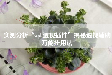 实测分析“wpk透视插件”揭秘透视辅助万能挂用法