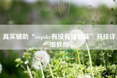 真实辅助“wepoke有没有辅助挂”开挂详细教程