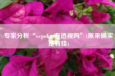 专家分析“wepoKer有透视吗	”(原来确实是有挂)