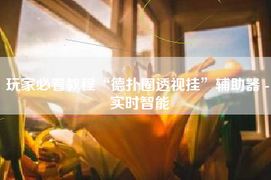 玩家必看教程“德扑圈透视挂”辅助器 - 实时智能