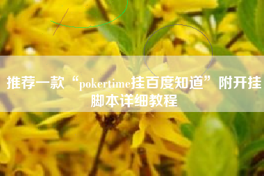 推荐一款“pokertime挂百度知道	”附开挂脚本详细教程