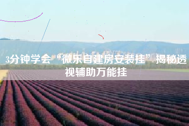 3分钟学会“微乐自建房安装挂”揭秘透视辅助万能挂