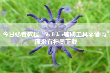 今日必看教程“WePoker辅助工具靠谱吗	”原来有神器下载