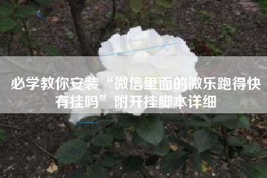 必学教你安装“微信里面的微乐跑得快有挂吗”附开挂脚本详细