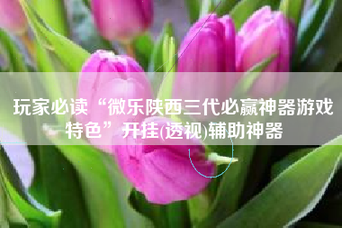 玩家必读“微乐陕西三代必赢神器游戏特色”开挂(透视)辅助神器