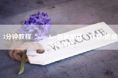 3分钟教程“wepoKer透视插件”作弊(透视)透视辅助