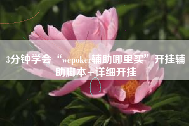 3分钟学会“wepoker辅助哪里买”开挂辅助脚本+详细开挂