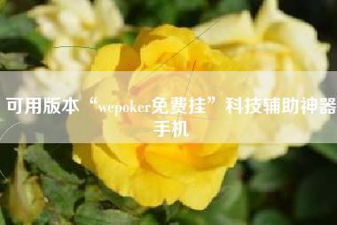 可用版本“wepoker免费挂”科技辅助神器手机