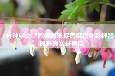 3分钟学会“微信微乐捉鸡麻将外卦神器”(原来确实是有挂)