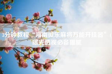 3分钟教程“海南微乐麻将万能开挂器”(曝光透视必备猫腻