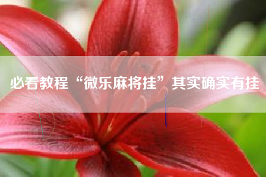 必看教程“微乐麻将挂”其实确实有挂