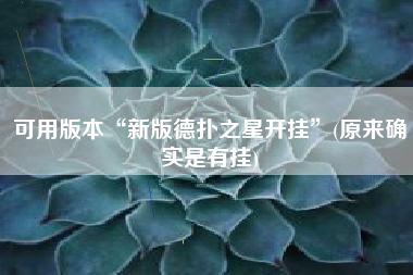 可用版本“新版德扑之星开挂”(原来确实是有挂)