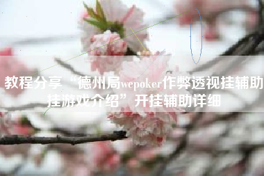 教程分享“德州局wepoker作弊透视挂辅助挂游戏介绍”开挂辅助详细