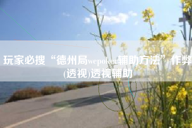 玩家必搜“德州局wepoker辅助方法	”作弊(透视)透视辅助