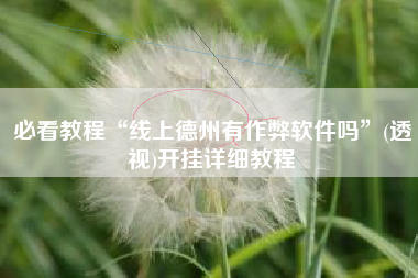 必看教程“线上德州有作弊软件吗”(透视)开挂详细教程