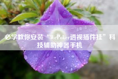 必学教你安装“WePoker透视插件挂”科技辅助神器手机
