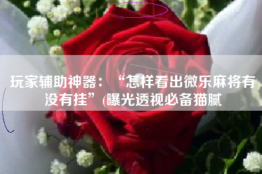 玩家辅助神器：“怎样看出微乐麻将有没有挂”(曝光透视必备猫腻