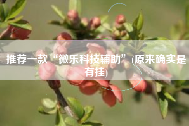 推荐一款“微乐科技辅助”(原来确实是有挂)