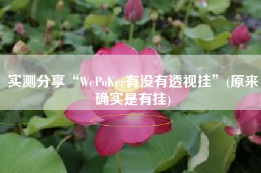 实测分享“WePoKer有没有透视挂”(原来确实是有挂)