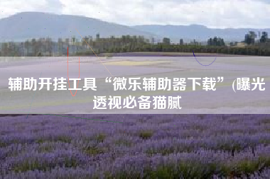 辅助开挂工具“微乐辅助器下载”(曝光透视必备猫腻