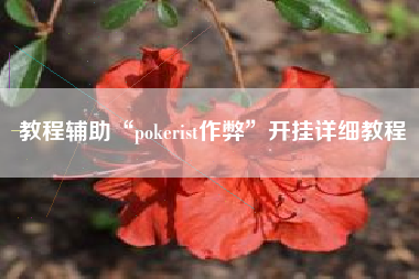 教程辅助“pokerist作弊”开挂详细教程