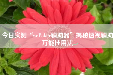 今日实测“wePoker辅助器”揭秘透视辅助万能挂用法